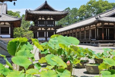 唐招提寺 天平時代の貴重な建物など緑豊かな境内の見どころ紹介 奈良 西ノ京 関西お散歩ブログ Sansaku